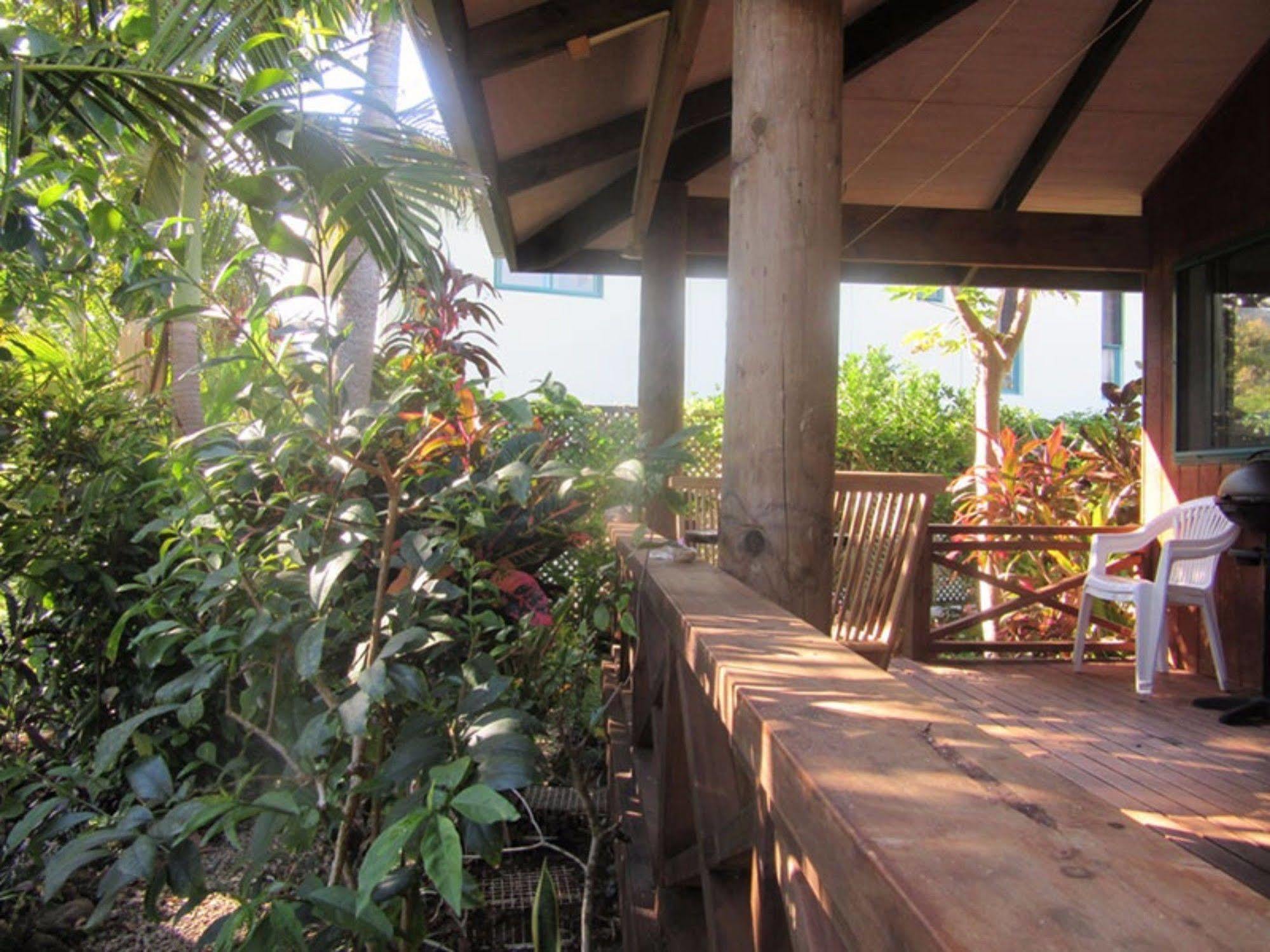 Aroa Kainga Bungalows And Apartment Rarotonga Exterior foto